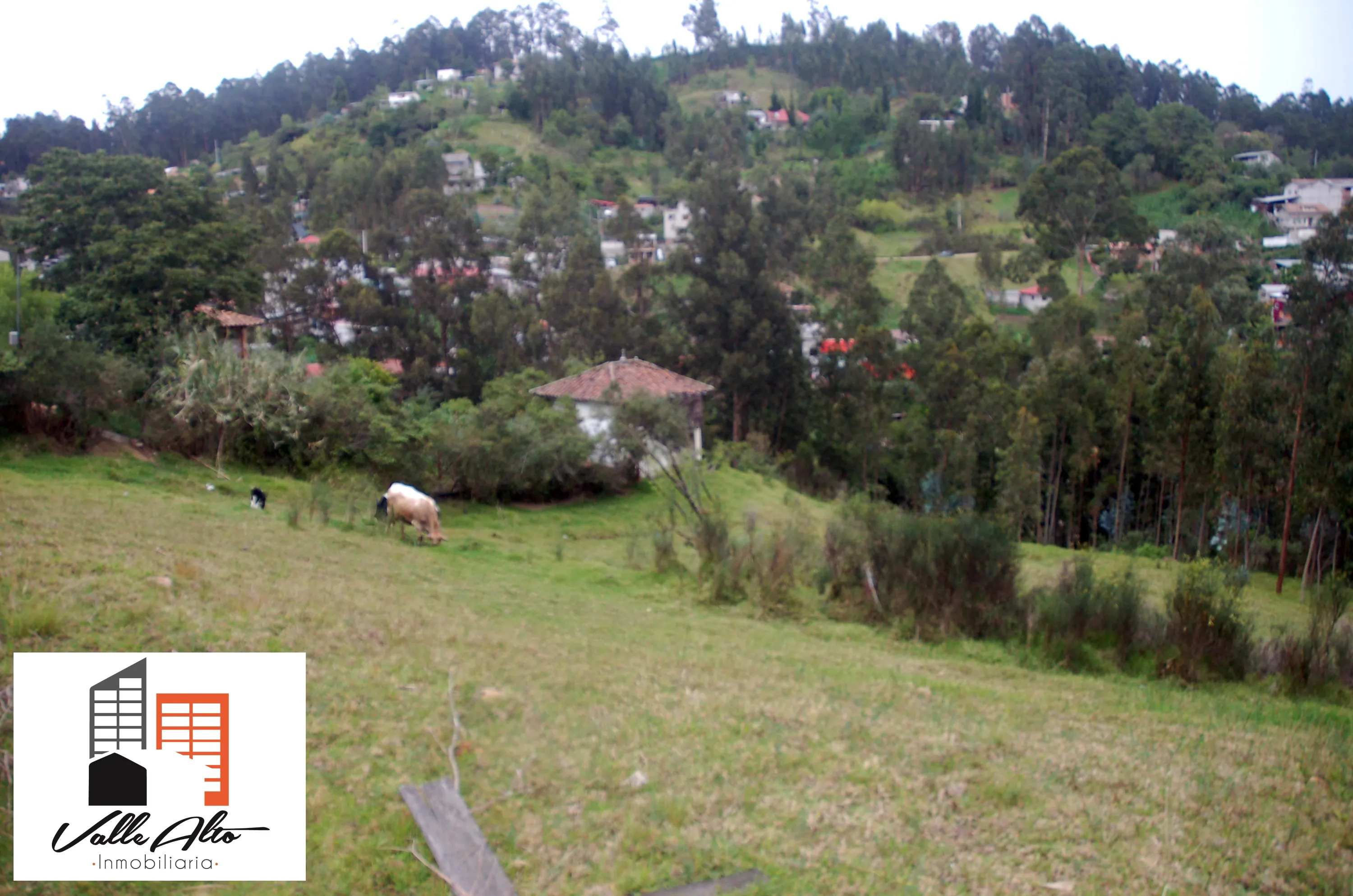 TERRENO AMPLIO EN MIRAFLORES, IDEAL PARA PROYECTO INMOBILIARIO. - 7
