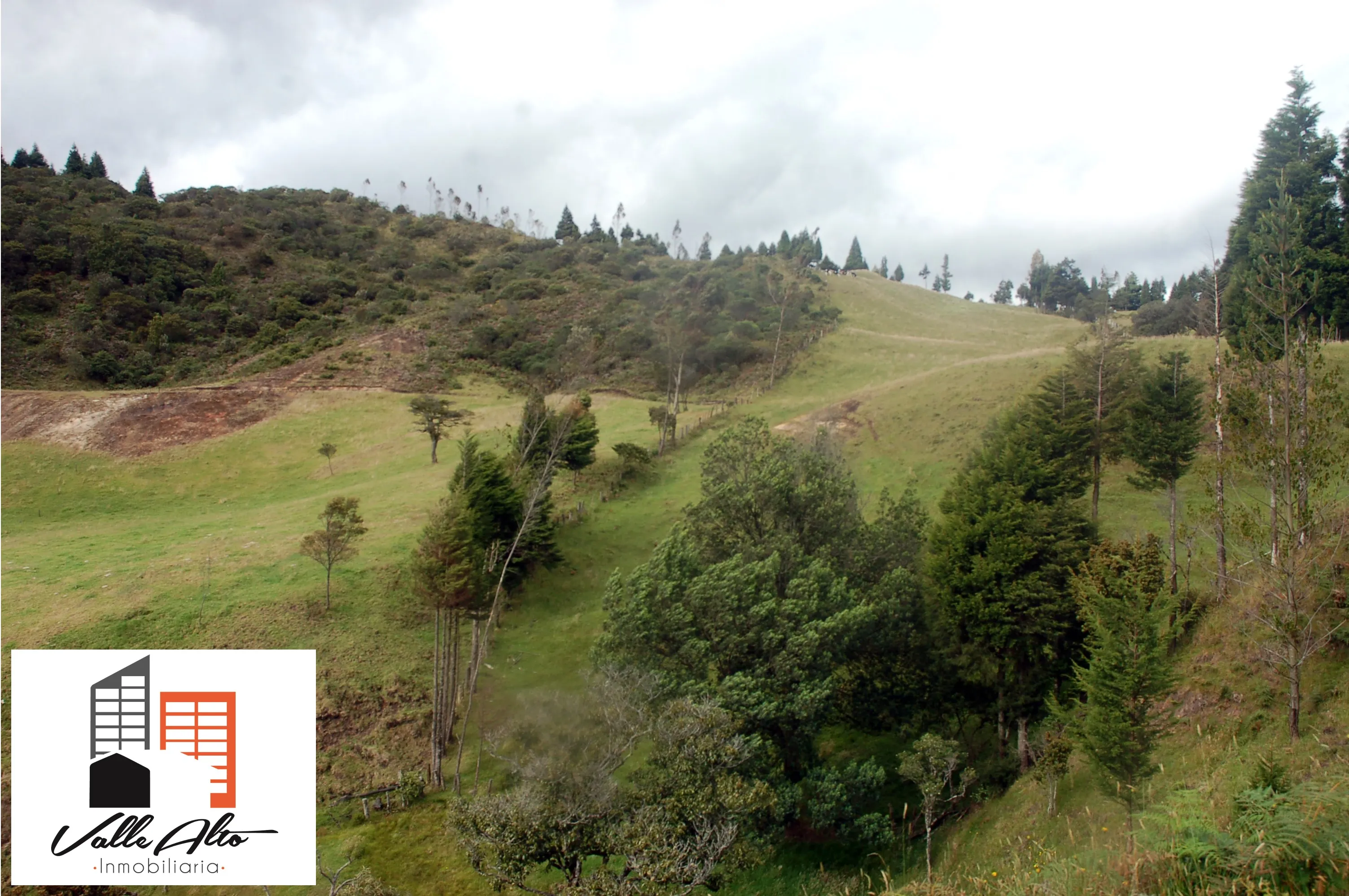AMPLIO TERRENO EN PORTETE-TARQUI. - 10