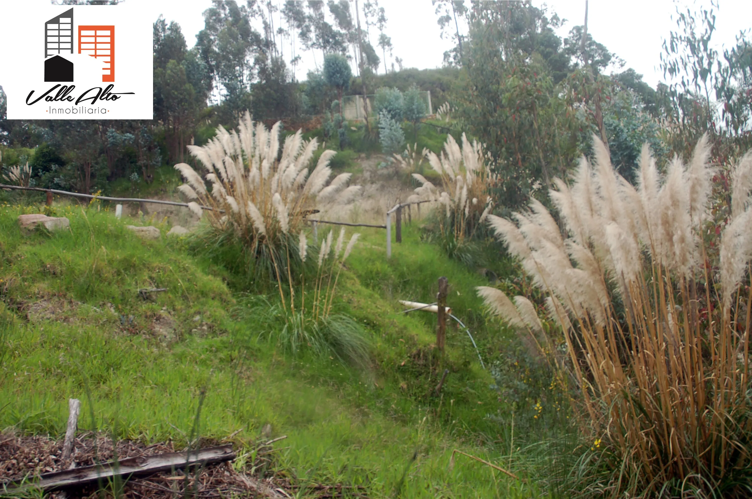 AMPLIO TERRENO EN SIGSIPAMBA. - 10