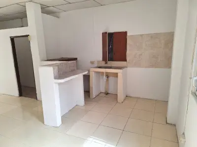 Alquilo departamento planta alta