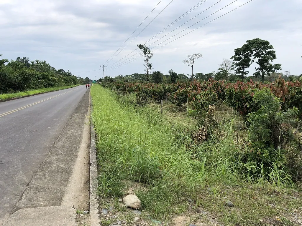 Hacienda amazónica de 310 ha con cacao, balsa, potreros y acceso E40 - 9
