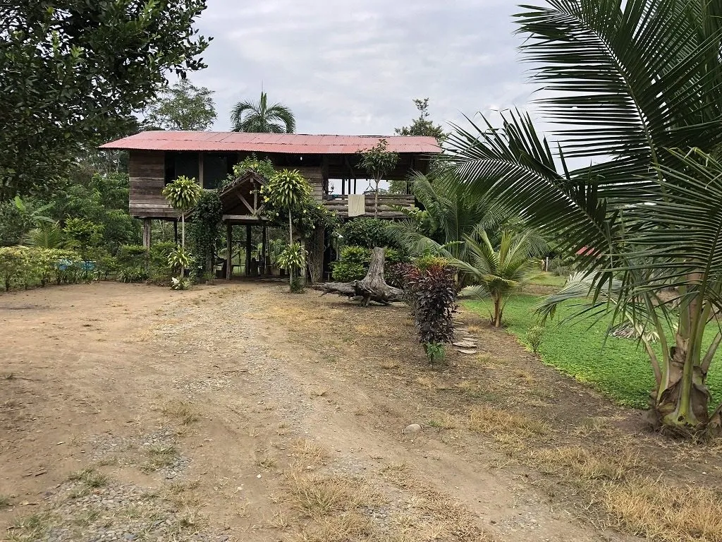 Hacienda amazónica de 310 ha con cacao, balsa, potreros y acceso E40 - 5