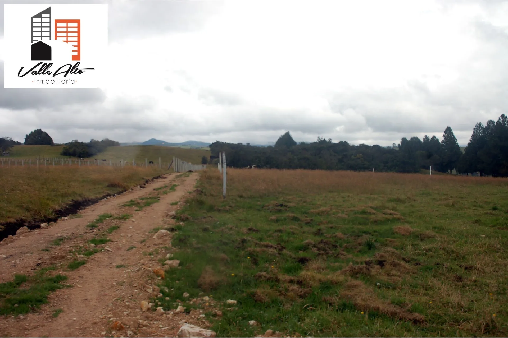 LOTES AMPLIOS EN VICTORIA DEL PORTETE-TARQUI. - 1