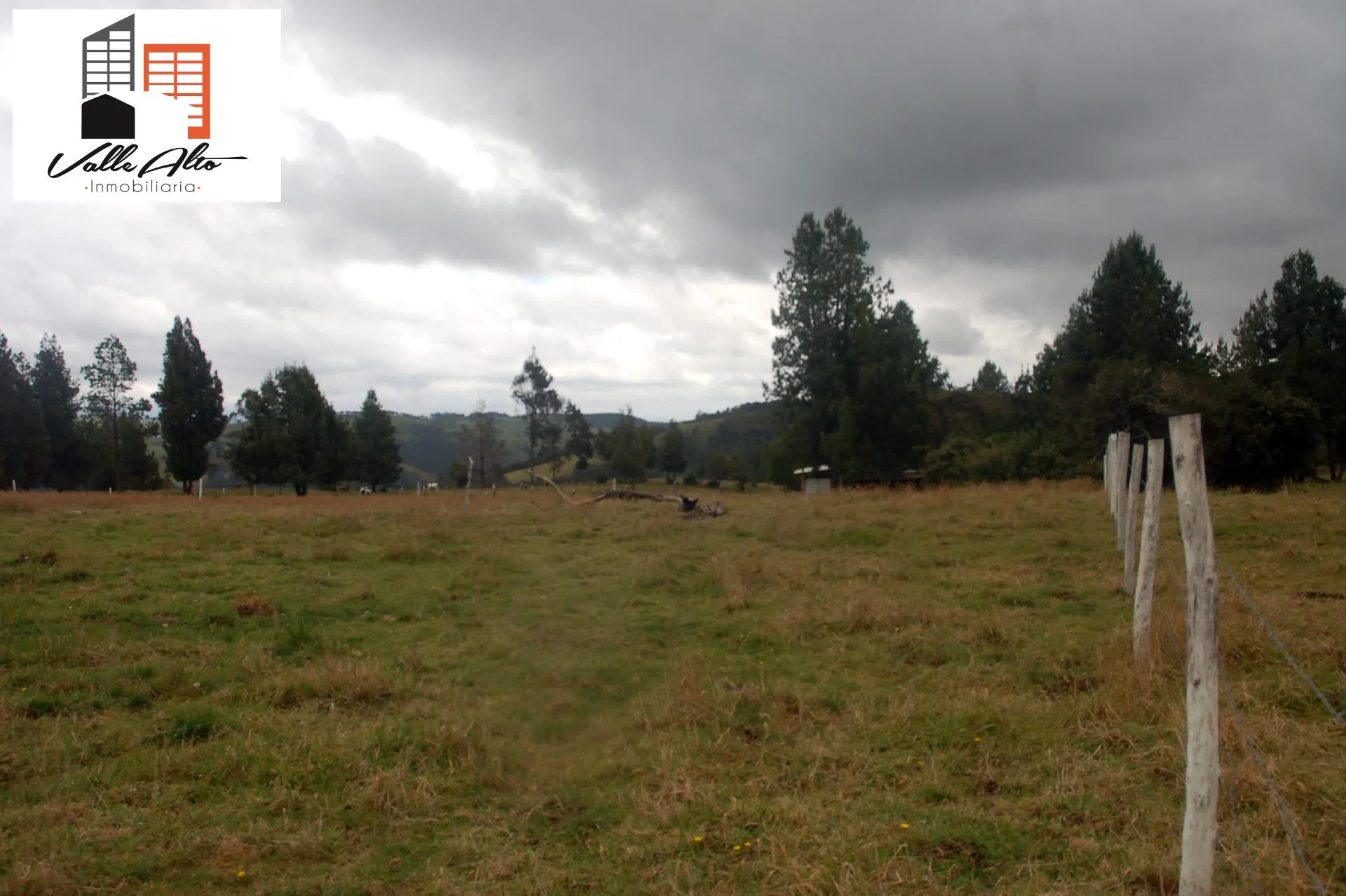 LOTES AMPLIOS EN VICTORIA DEL PORTETE-TARQUI. - 5