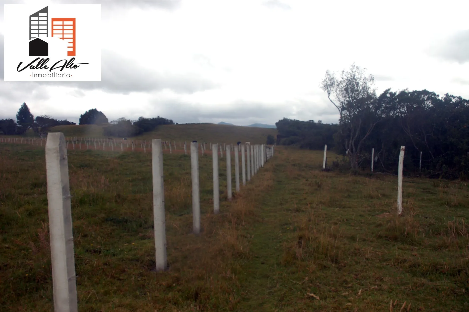 LOTES AMPLIOS EN VICTORIA DEL PORTETE-TARQUI. - 7