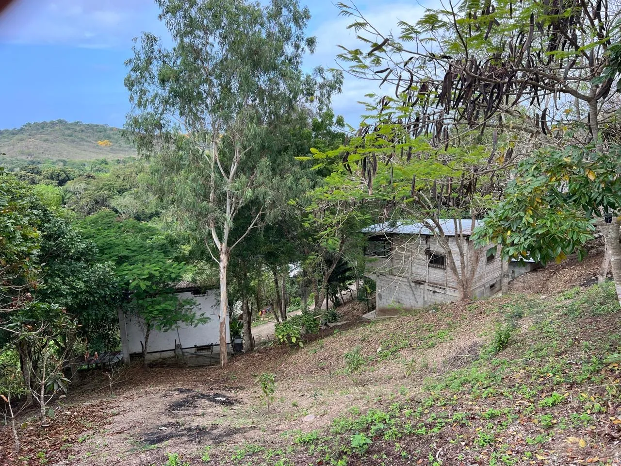 TERRENO DE 13.282 M² EN EL TIGRILLO, MONTAÑITA – CON CASAS, CISTERNAS Y BOSQUE
