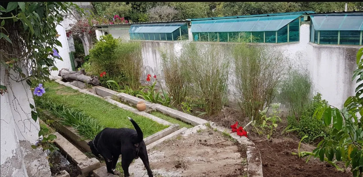 Hermosa quinta en Guayllabamba - 5