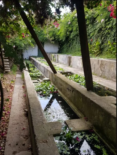 Hermosa quinta en Guayllabamba - 9
