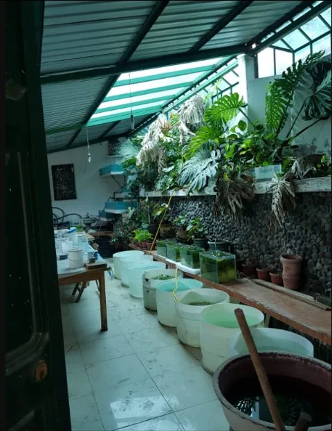 Hermosa quinta en Guayllabamba - 12