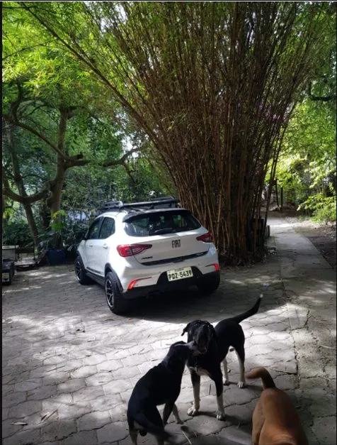 Hermosa quinta en Guayllabamba - 10