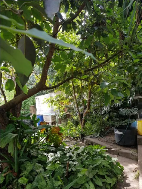 Hermosa quinta en Guayllabamba - 11