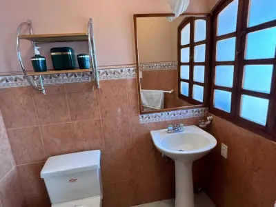 Miniatura 9